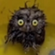 AME萧瑟 - steam id 76561198051256367