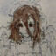 Cogito
