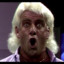 Ric Flair