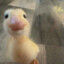 Diskae