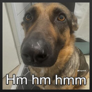 wawa avatar