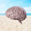 SandForBrains