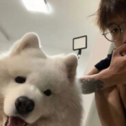 你知道我的成分,来找我吧