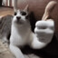 Steam avatar