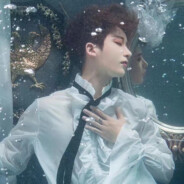 魔法少女叶不羞