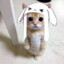 sweezx