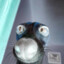 Tom