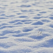 Семён Кирьянов