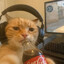 Gato Coquita
