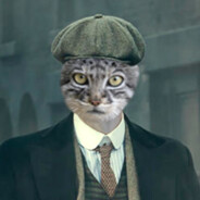 hot dumplings with puree