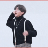 一只高冷帅气的坤