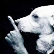 dogged