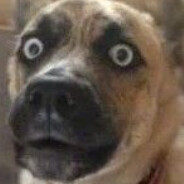 BURRRRRRRRRRRRRRRRRRRRRRRRRRR