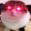 Extreme_Wawa