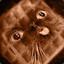KittyWaffles