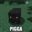 pigga