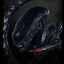 Forlorn Raven