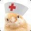 First Aid Chick