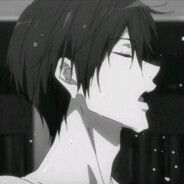 小猫你可以吃芝士汉堡