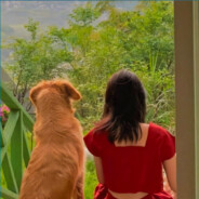 多次婉拒鞠婧祎