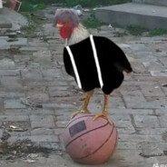 球场第一冲锋手坤坤