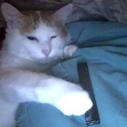 vape cat