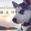 虎牙TV骚老师