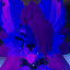 Abyss &lt;3