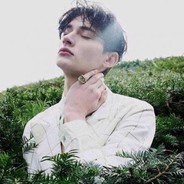 我花开后百花杀