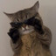DuneCoon67