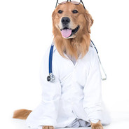 Dr.Doggo