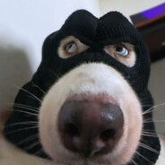 18岁离婚带俩娃