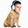 KuBa's Avatar