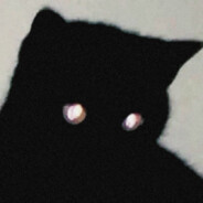 我是巫师猫本猫