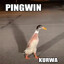 Pingwin