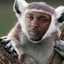 Kenderk Lemur