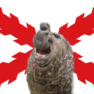 That Elephant Seal avatar