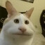 Avatar of thD