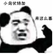 来这么高 小鸟伏特加