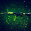 AWP_LOVE_MY_TOP