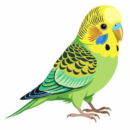 p1Ro avatar