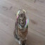 GHOST_772
