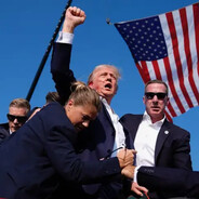 鸽子不会自己跑