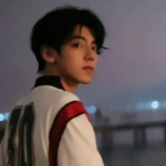 猪猪侠小呆呆1号