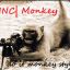 |INC| Monkey