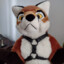 Spyfox