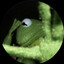 Kermit