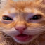 Cleeb