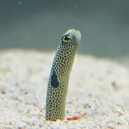 I am But a Worm..