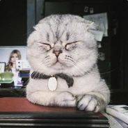 别闹。